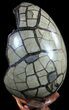 Septarian Dragon Egg Geode - Black Crystals #55722-2